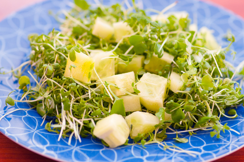 салат с микрозеленью