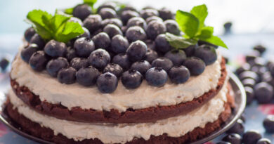 Шоколадный кето торт с голубикой